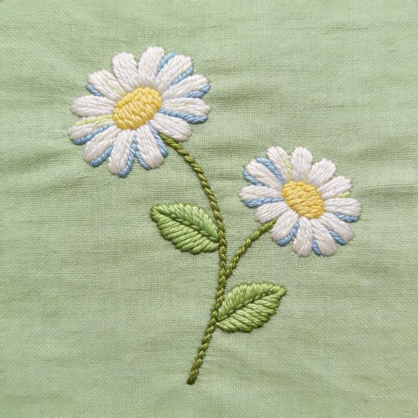 طبقة نباتية